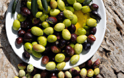 LE DIVERSE CULTIVAR DI OLIVE: UN VIAGGIO NEL MONDO DELL’OLIVICULTURA